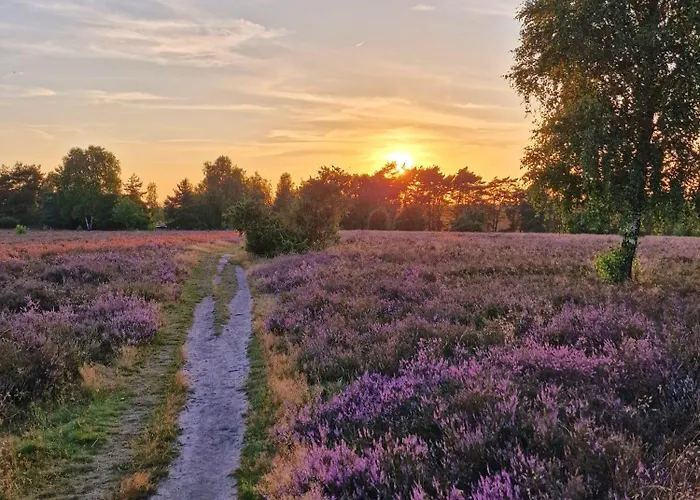 Am Wildpark Mueden-oertze Apartman *